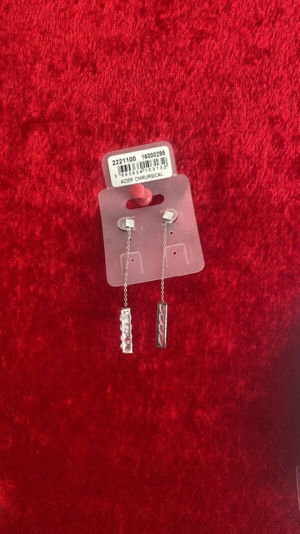 BOUCLES D'OREILLES 2221100